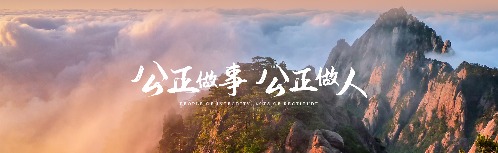 集团概况